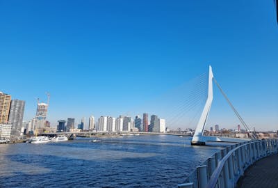 Metropolen ab Rotterdam