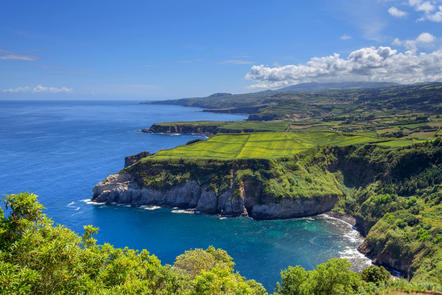 Madeira Urlaub Weihnachten 2022 Weihnachten & Silvester 2022/23 Mein Schiff 4 Kanaren mit Lanzarote